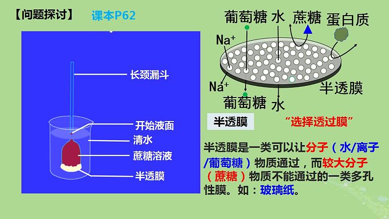 2024年同步备课高中生物4.1被动运输课件新人教版必修105
