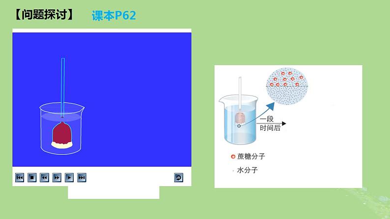 2024年同步备课高中生物4.1被动运输课件新人教版必修106