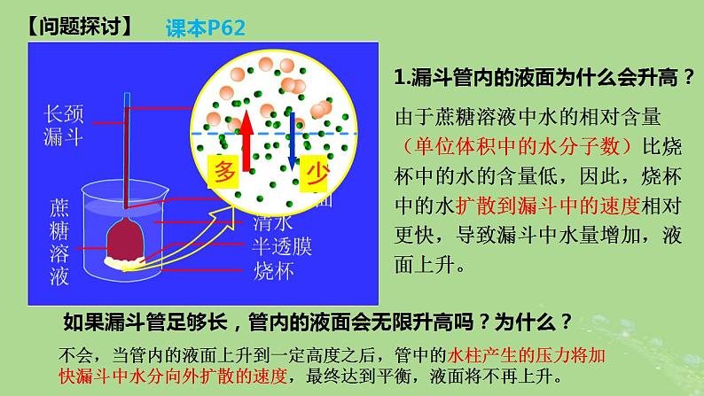 2024年同步备课高中生物4.1被动运输课件新人教版必修108