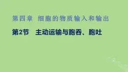 2024年同步备课高中生物4.2主动运输与胞吞胞吐课件新人教版必修1