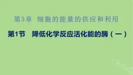 2024年同步备课高中生物5.1降低化学反应活化能的酶第1课时课件新人教版必修1