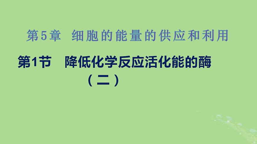 2024年同步備課高中生物5.1降低化學(xué)反應(yīng)活化能的酶第2課時(shí)課件新人教版必修1第1頁(yè)