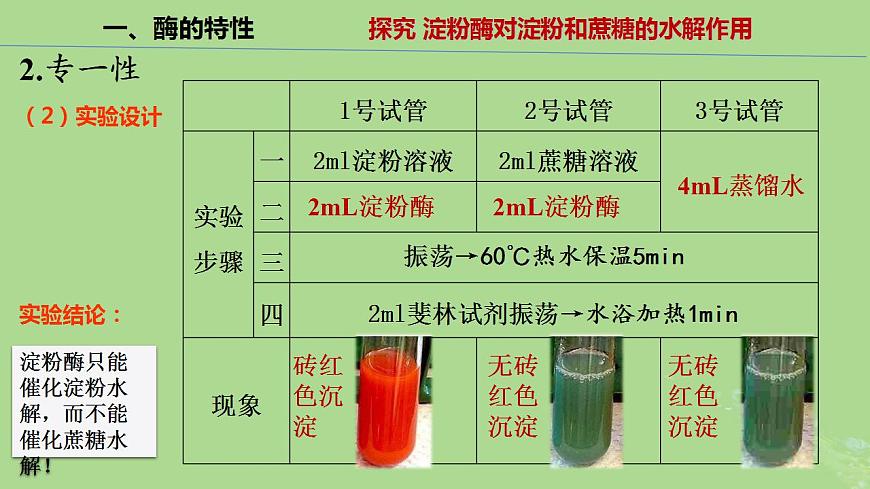 2024年同步備課高中生物5.1降低化學(xué)反應(yīng)活化能的酶第2課時(shí)課件新人教版必修1第7頁(yè)