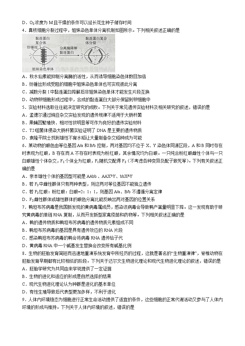 安徽省皖豫名校联盟卓越县中联盟2024届高三下学期5月三模生物试卷(Word版附解析)02
