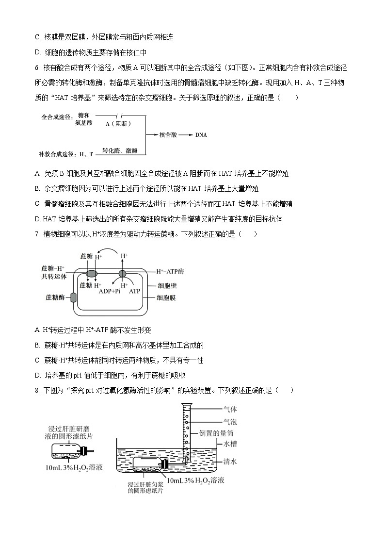 浙江省环大罗山联盟2023-2024学年高二下学期4月期中生物试题 Word版无答案第2页