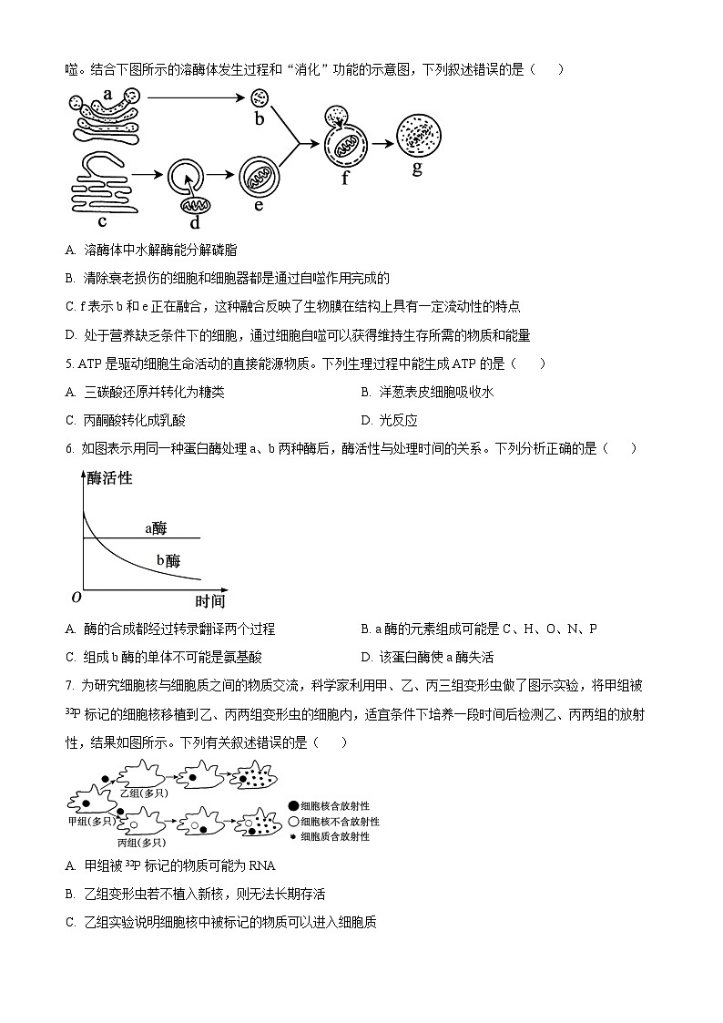 浙江省环大罗山联盟2023-2024学年高一下学期4月期中考试生物试题(Word版附解析)02