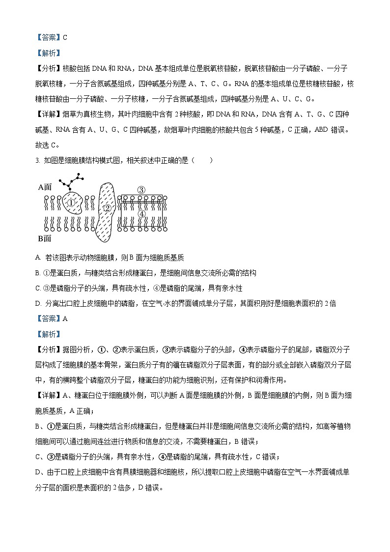 浙江省环大罗山联盟2023-2024学年高一下学期4月期中考试生物试题(Word版附解析)02