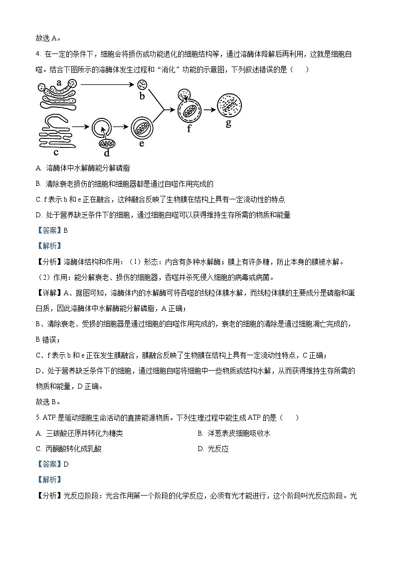浙江省环大罗山联盟2023-2024学年高一下学期4月期中考试生物试题(Word版附解析)03