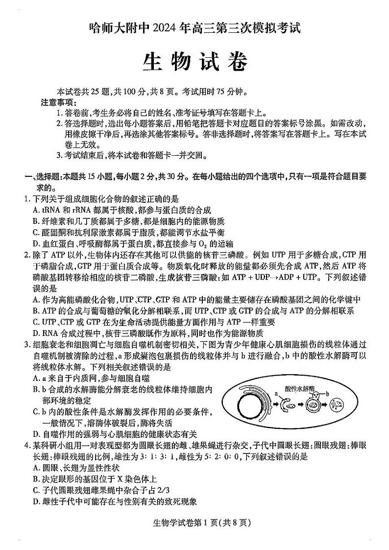 2024东北三省三校(哈师大附中)高三三模生物试题和答案01