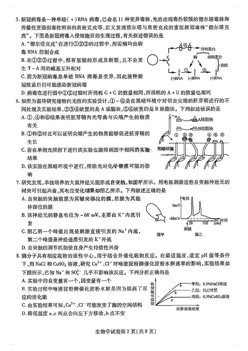 2024东北三省三校(哈师大附中)高三三模生物试题和答案02