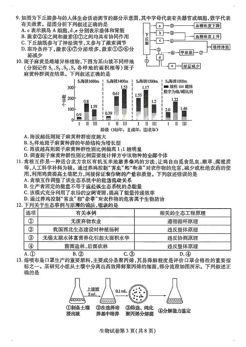2024东北三省三校(哈师大附中)高三三模生物试题和答案03
