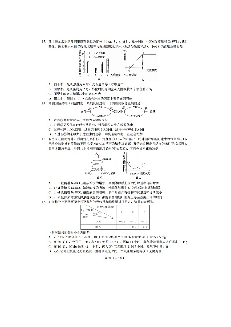 2023届湖北省襄阳市第四中学高一上学期生物1月月考试题第3页