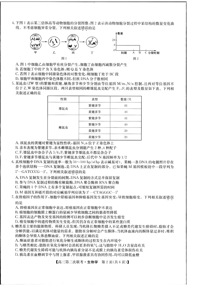 2024届江西省重点中学盟校高三下学期第二次联考生物试题02