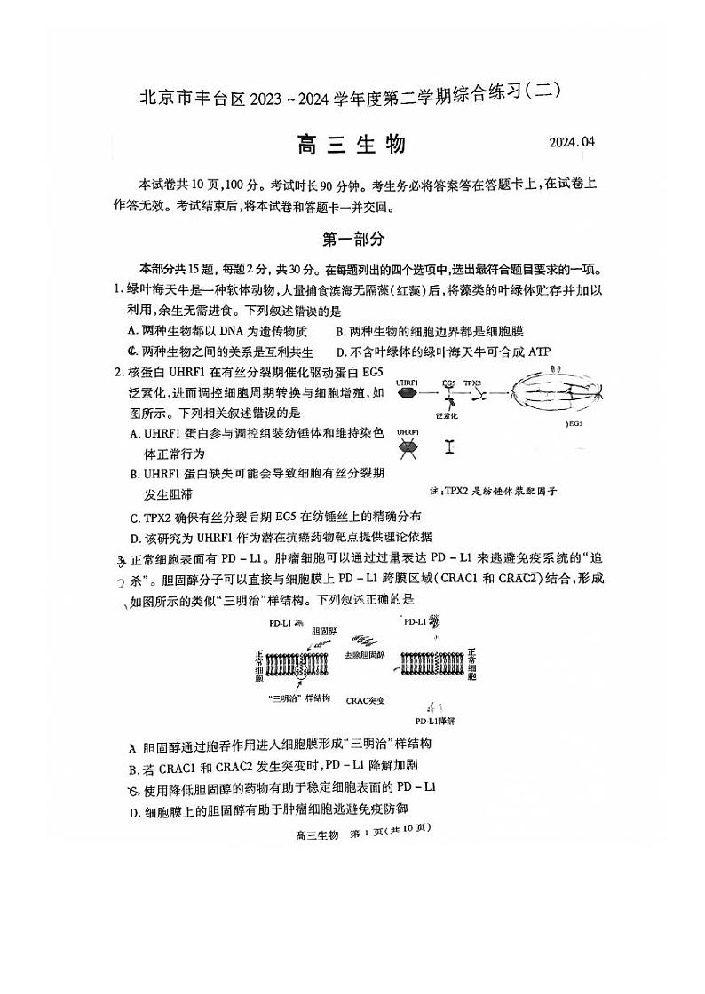 2024北京丰台高三二模生物试题及答案第1页