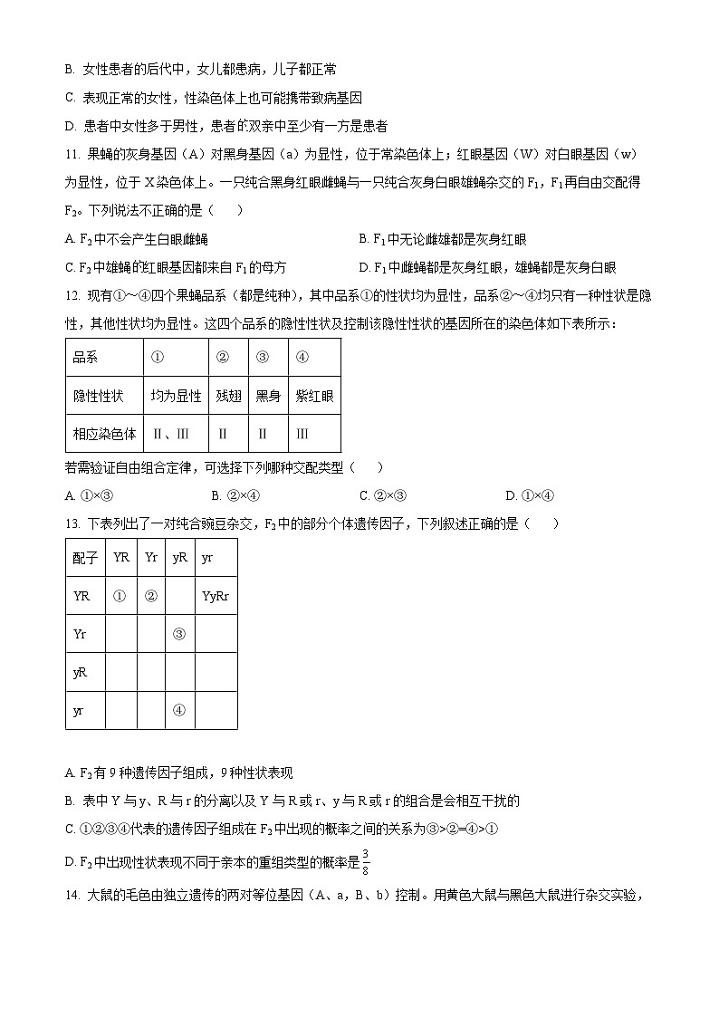 湖北省部分普通高中联盟2023-2024学年高一下学期期中联考生物试卷(Word版附解析)03