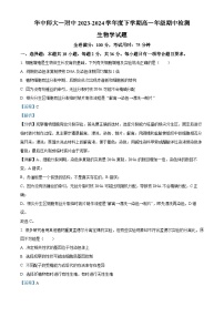 湖北省武汉市华中师范大学第一附属中学2023-2024学年高一下学期期中生物试卷（Word版附解析）