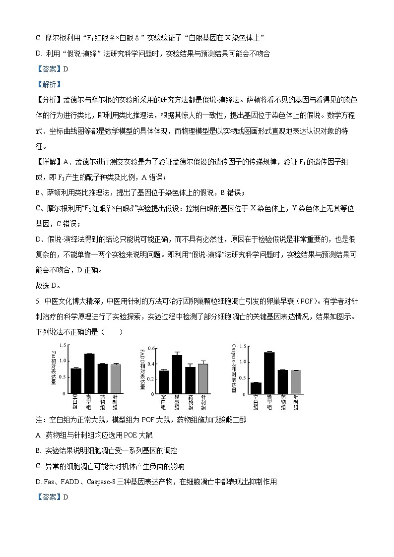 湖北省武汉市华中师范大学第一附属中学2023-2024学年高一下学期期中生物试题 Word版含解析第3页