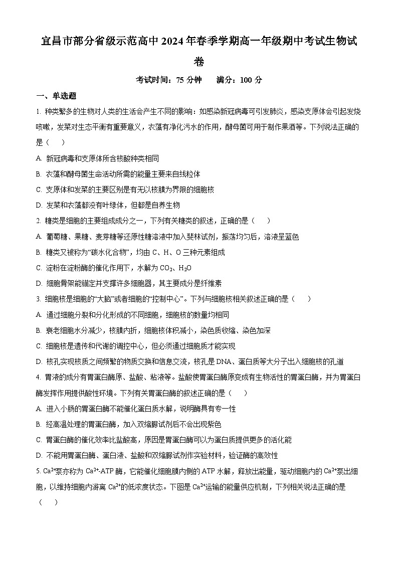 湖北省宜昌市部分省级示范高中2023-2024学年高一下学期期中联考生物试卷(Word版附解析)01