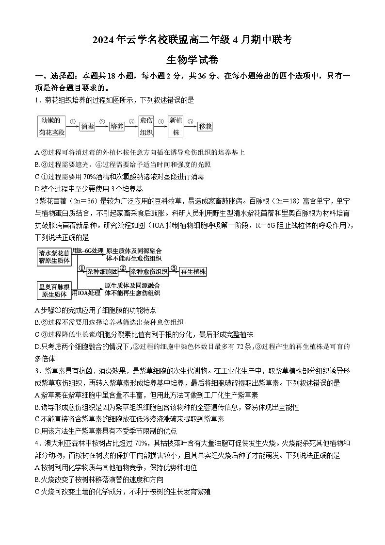 湖北省云学名校新高考联盟2023-2024学年高二下学期期中联考生物试卷(Word版附答案)01