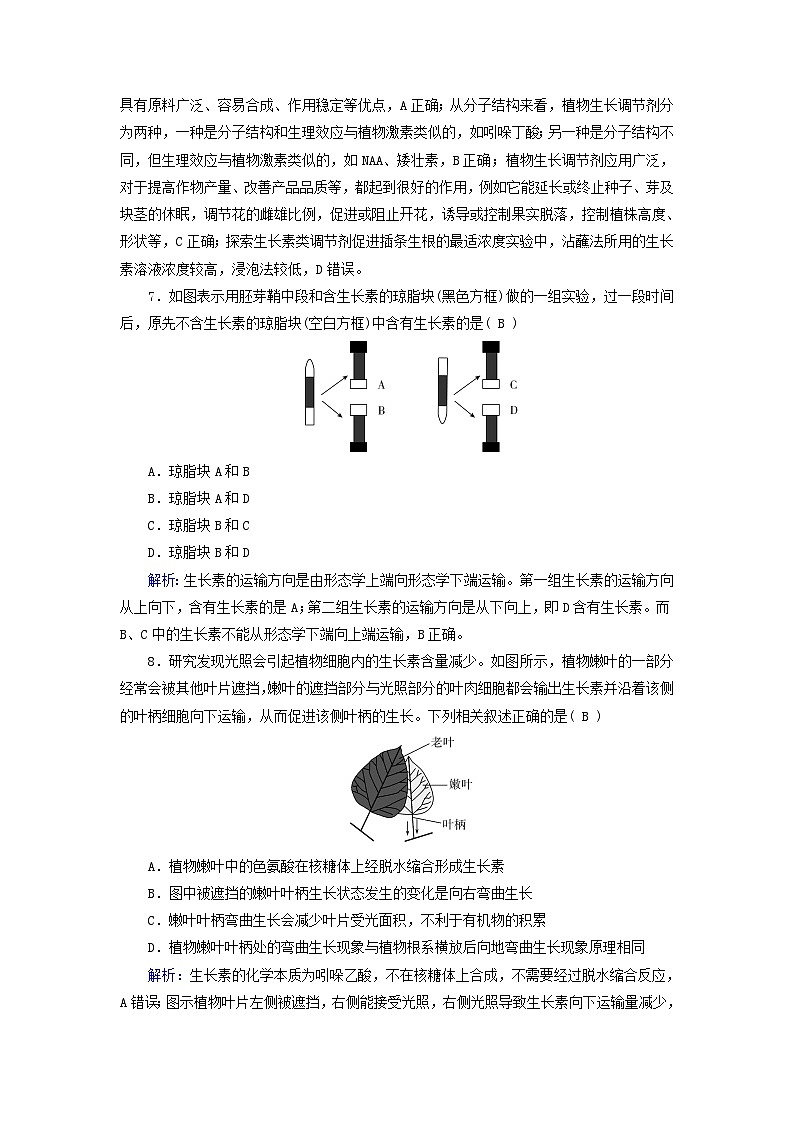 2025版新教材高中生物第5章植物生命活动的调节单元素养等级测评试卷(附解析新人教版选择性必修1)第3页