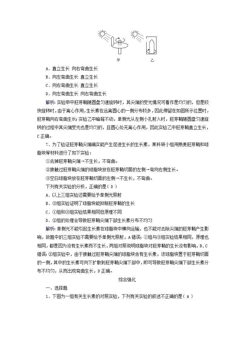 2025版新教材高中生物第5章植物生命活动的调节第1节植物生长素第1课时生长素的发现过程提能作业(附解析新人教版选择性必修1)第3页