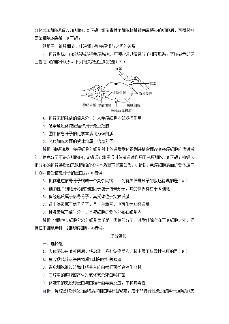 2025版新教材高中生物第4章免疫调节第2节特异性免疫第2课时细胞免疫及体液免疫和细胞免疫的协调配合提能作业(附解析新人教版选择性必修1)第3页