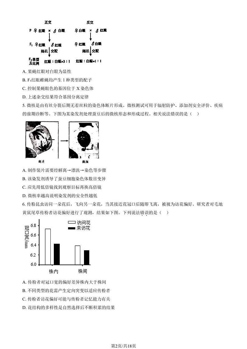 2024北京市房山区高三上学期期末生物试卷及答案第2页
