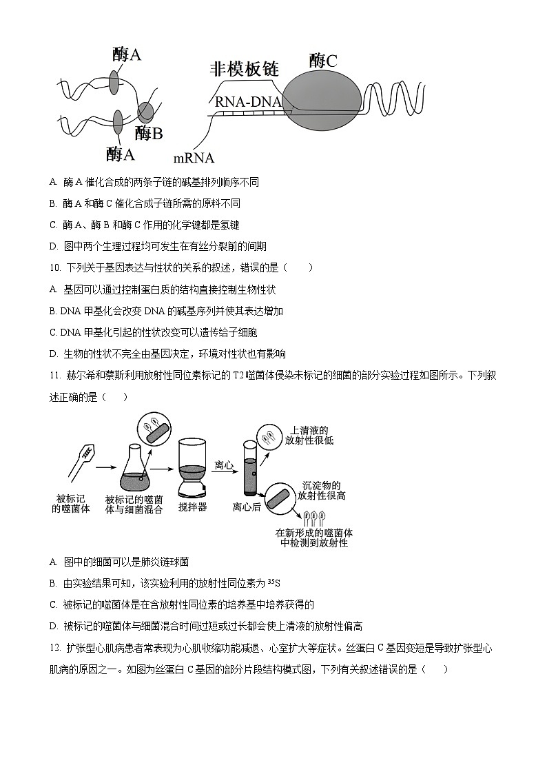 福建省龙岩市龙岩非一级达标校2023-2024学年高一下学期4月期中生物试题(原卷版)第3页