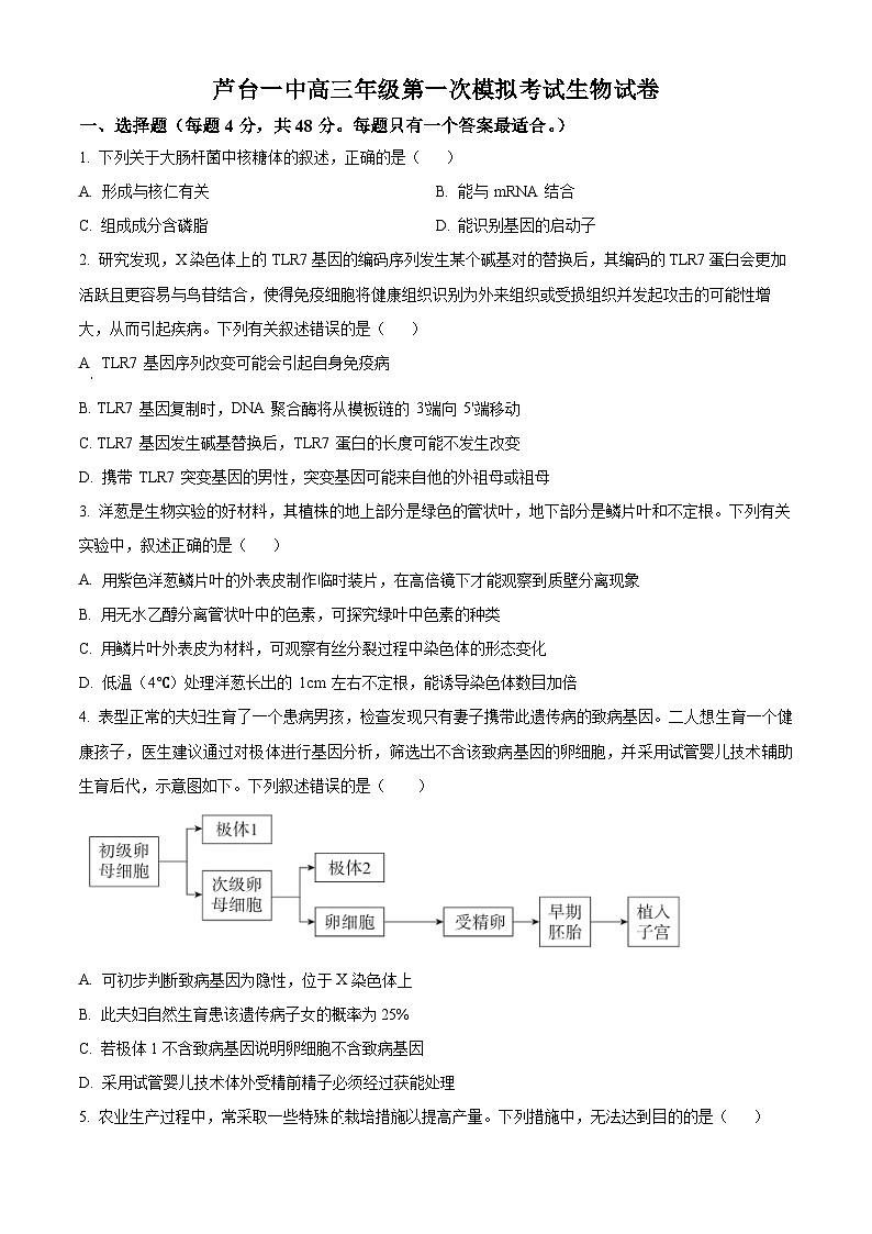 天津市宁河区芦台第一中学2023-2024学年高三下学期第一次模拟考试生物试卷(原卷版+解析版)01
