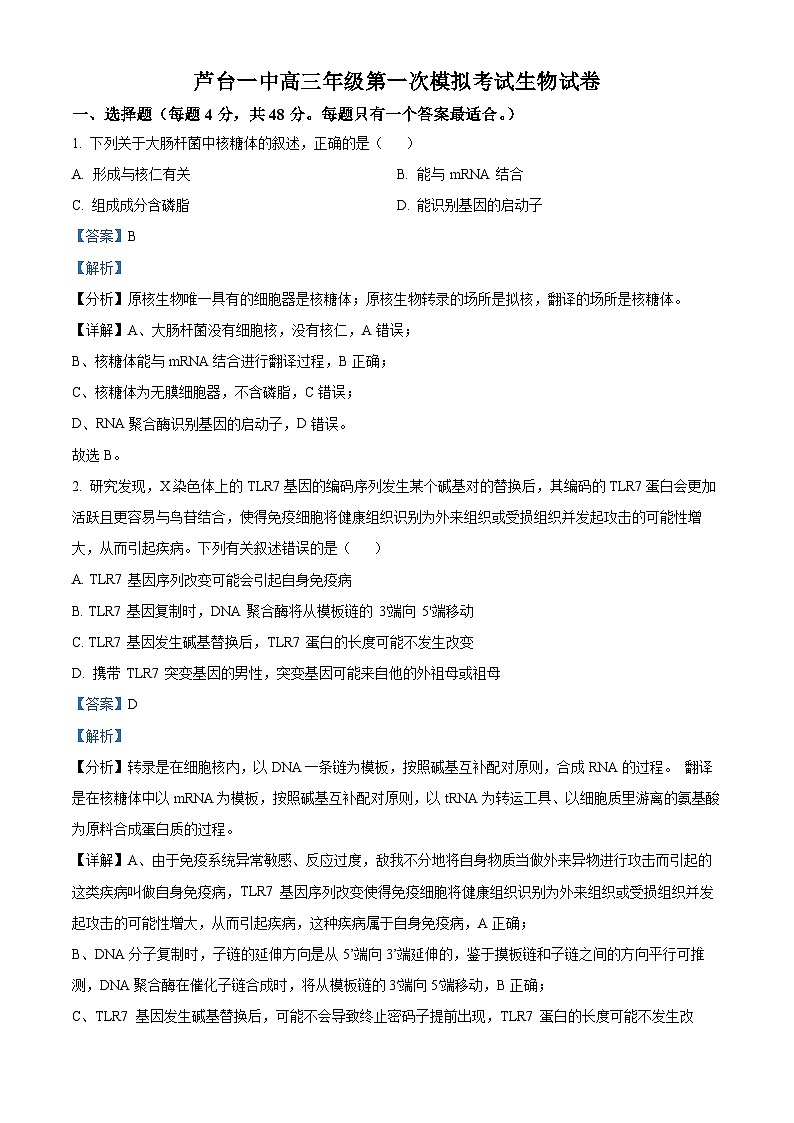 天津市宁河区芦台第一中学2023-2024学年高三下学期第一次模拟考试生物试卷(原卷版+解析版)01