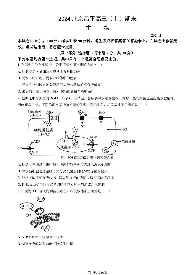 2024北京市昌平区高三上学期期末生物试卷及答案第1页