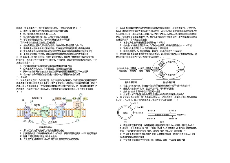 江西省宜春市上高二中2023-2024学年高三下学期5月月考生物试题02