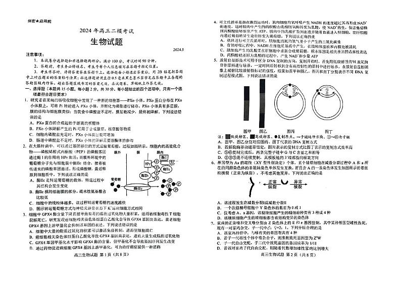 2024届山东省菏泽市高三下学期二模生物试题及答案01