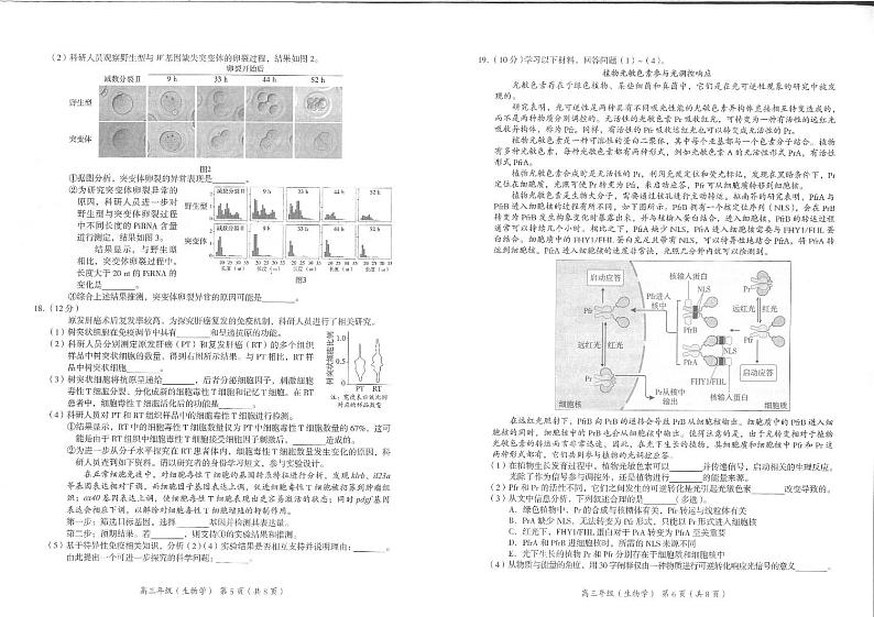 2022北京市海淀区高三上学期期末生物试卷及答案03