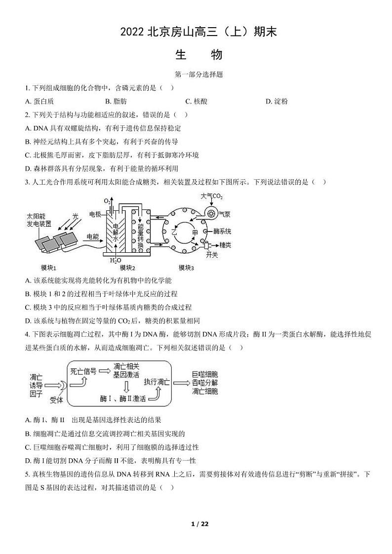 2022北京市房山区高三上学期期末生物试卷及答案第1页