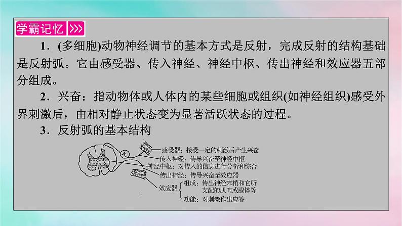 2025版新教材高中生物第2章神经调节第2节神经调节的基本方式课件新人教版选择性必修1第3页
