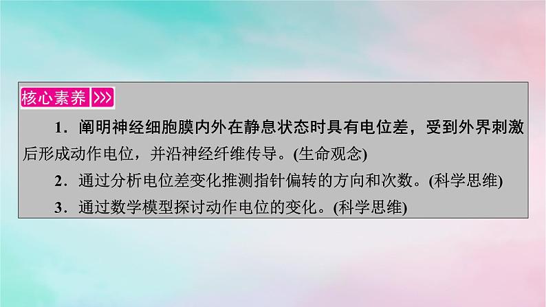 2025版新教材高中生物第2章神经调节第3节神经冲动的产生和传导第1课时兴奋在神经纤维上的传导课件新人教版选择性必修1第2页
