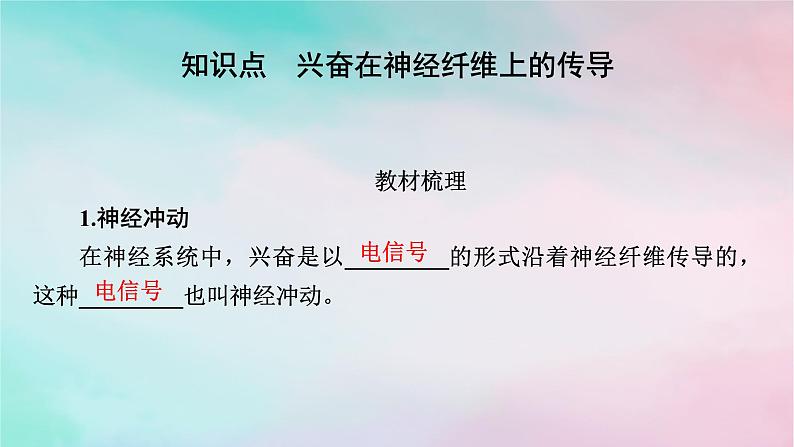 2025版新教材高中生物第2章神经调节第3节神经冲动的产生和传导第1课时兴奋在神经纤维上的传导课件新人教版选择性必修1第4页