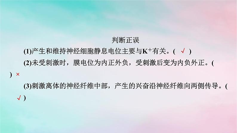 2025版新教材高中生物第2章神经调节第3节神经冲动的产生和传导第1课时兴奋在神经纤维上的传导课件新人教版选择性必修1第6页