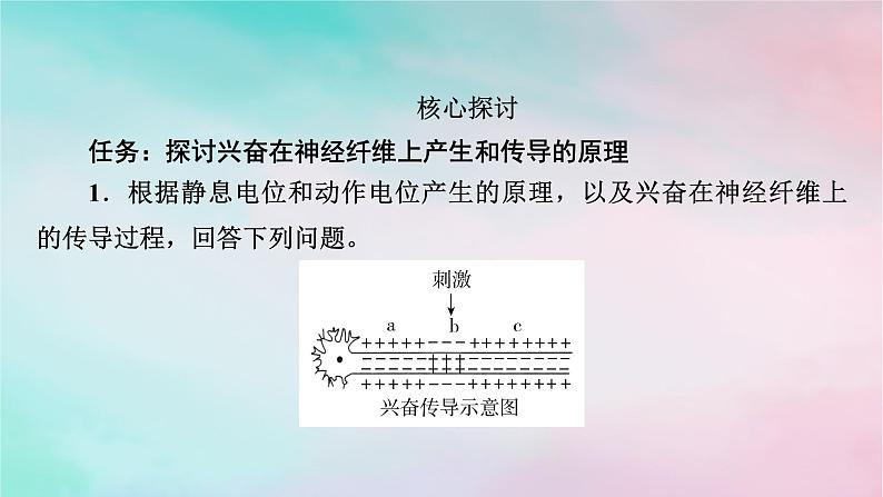 2025版新教材高中生物第2章神经调节第3节神经冲动的产生和传导第1课时兴奋在神经纤维上的传导课件新人教版选择性必修1第7页