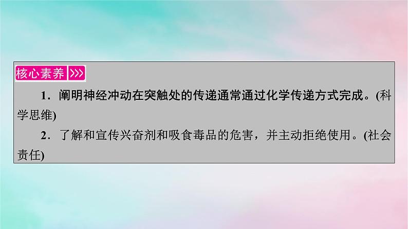 2025版新教材高中生物第2章神经调节第3节神经冲动的产生和传导第2课时兴奋在神经元之间的传递和滥用兴奋剂吸食毒品的危害课件新人教版选择性必修1第2页