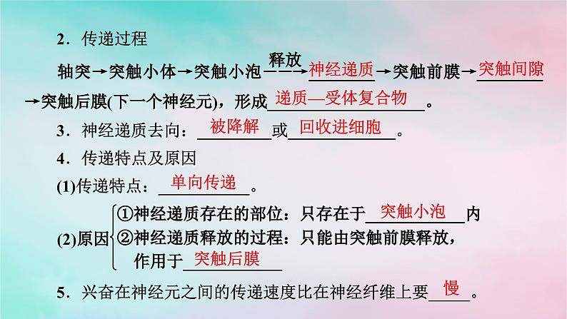 2025版新教材高中生物第2章神经调节第3节神经冲动的产生和传导第2课时兴奋在神经元之间的传递和滥用兴奋剂吸食毒品的危害课件新人教版选择性必修1第5页