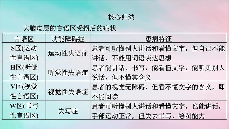 2025版新教材高中生物第2章神经调节第5节人脑的高级功能课件新人教版选择性必修1第8页