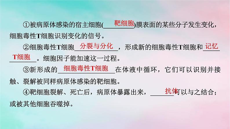 2025版新教材高中生物第4章免疫调节第2节特异性免疫第2课时细胞免疫及体液免疫和细胞免疫的协调配合课件新人教版选择性必修106