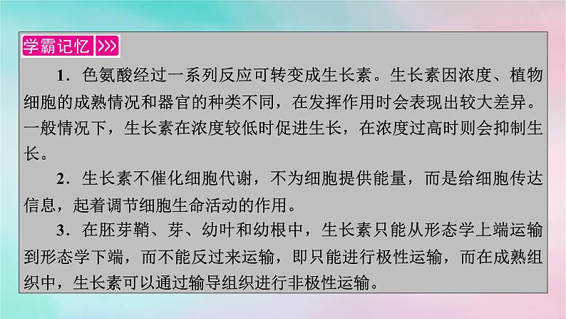 2025版新教材高中生物第5章植物生命活动的调节第1节植物生长素第2课时生长素的合成运输分布和生理作用课件新人教版选择性必修1第3页