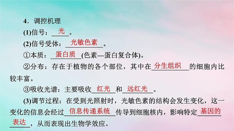 2025版新教材高中生物第5章植物生命活动的调节第4节环境因素参与调节植物的生命活动课件新人教版选择性必修1第5页