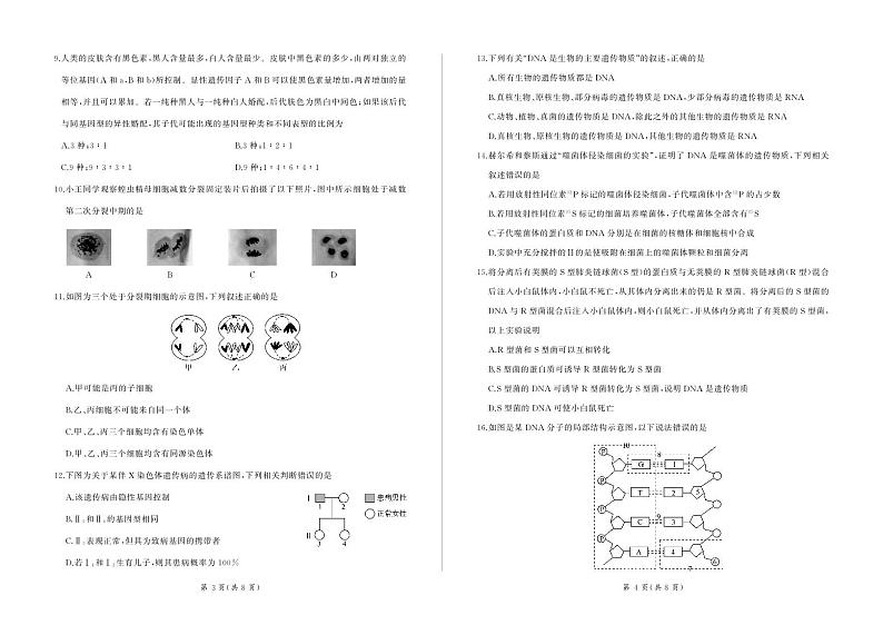 甘肃省酒泉市四校联考2023-2024学年高一下学期5月期中生物试题第2页