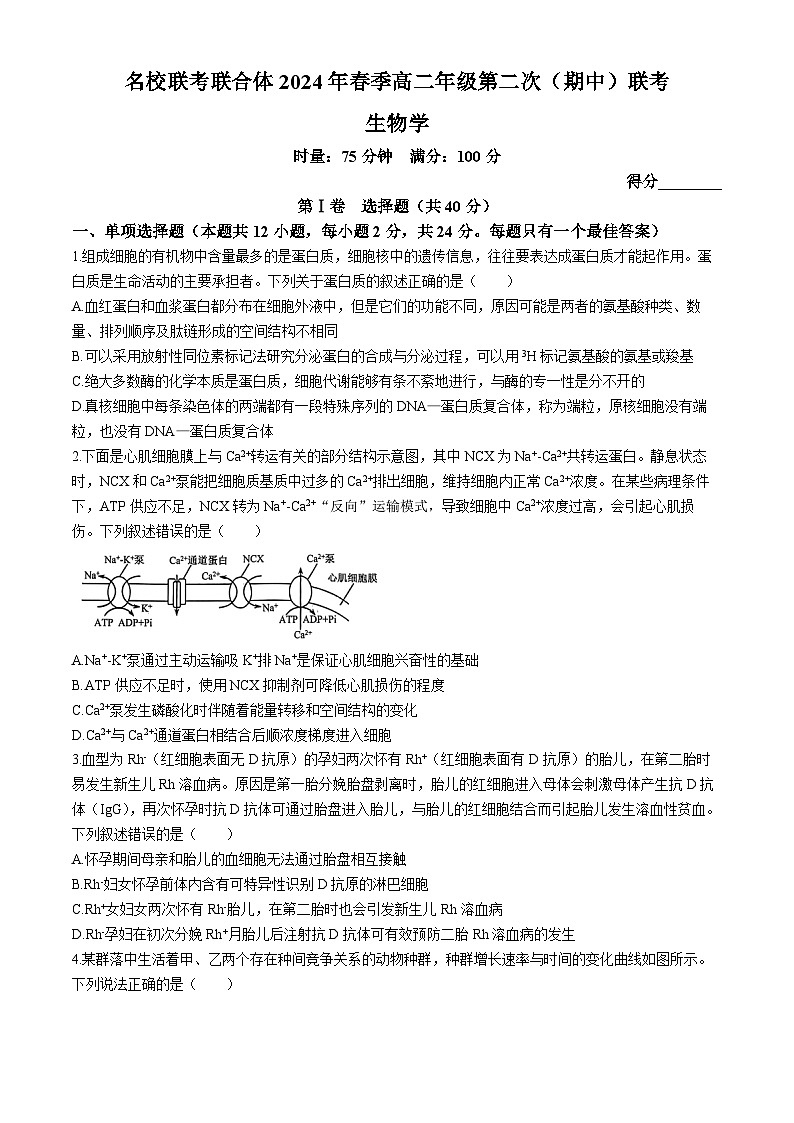 2024湖南省名校联考联合体高二下学期期中考试生物试题含解析01