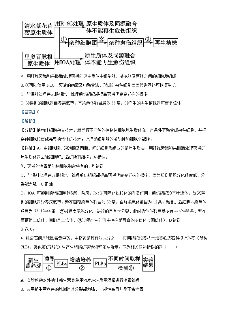 江苏省扬州市宝应县2023-2024学年高二下学期期中检测生物试题(原卷版+解析版)03