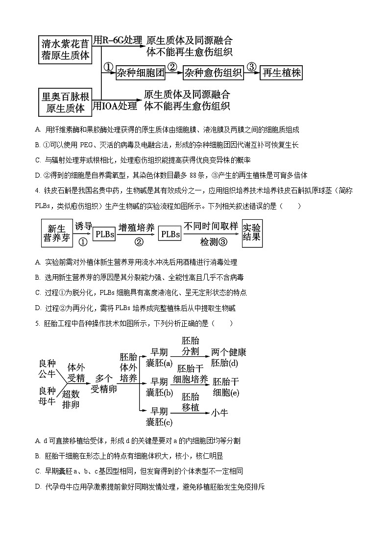 江苏省扬州市宝应县2023-2024学年高二下学期期中检测生物试题(原卷版+解析版)02